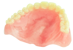 レジン床義歯 写真