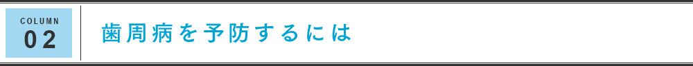 COLUMN 02 歯周病を予防するには