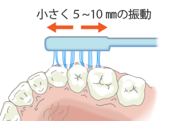 歯と歯のすき間を磨くポイント イラスト