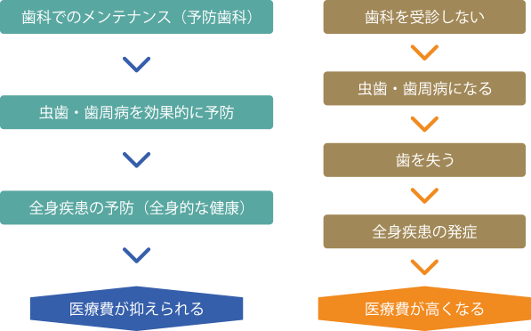 歯のメンテナンスによって全身疾患の予防になる、